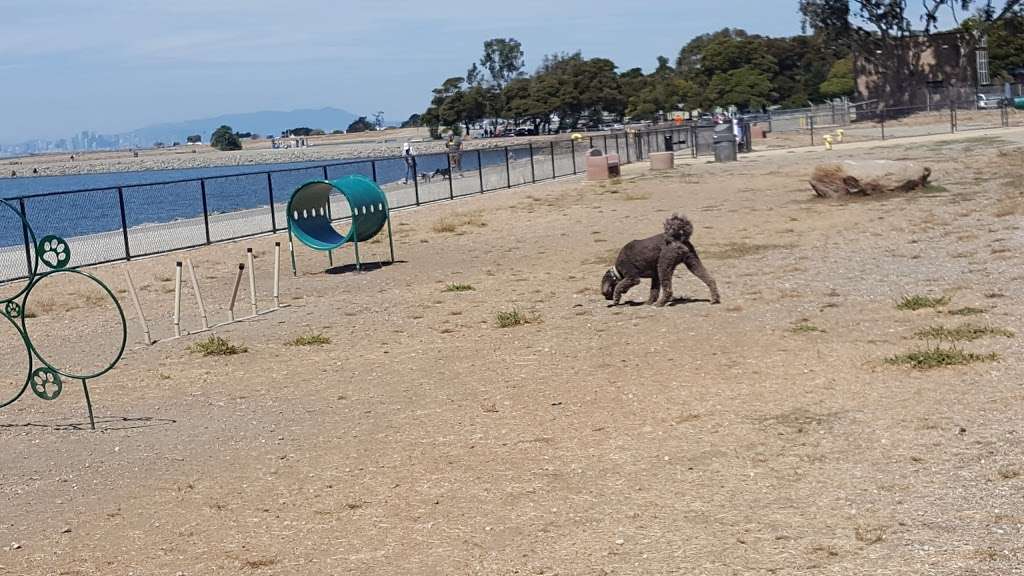 Marina Dog Park | Marina Park,, Monarch Bay Dr, San Leandro, CA 94577, USA