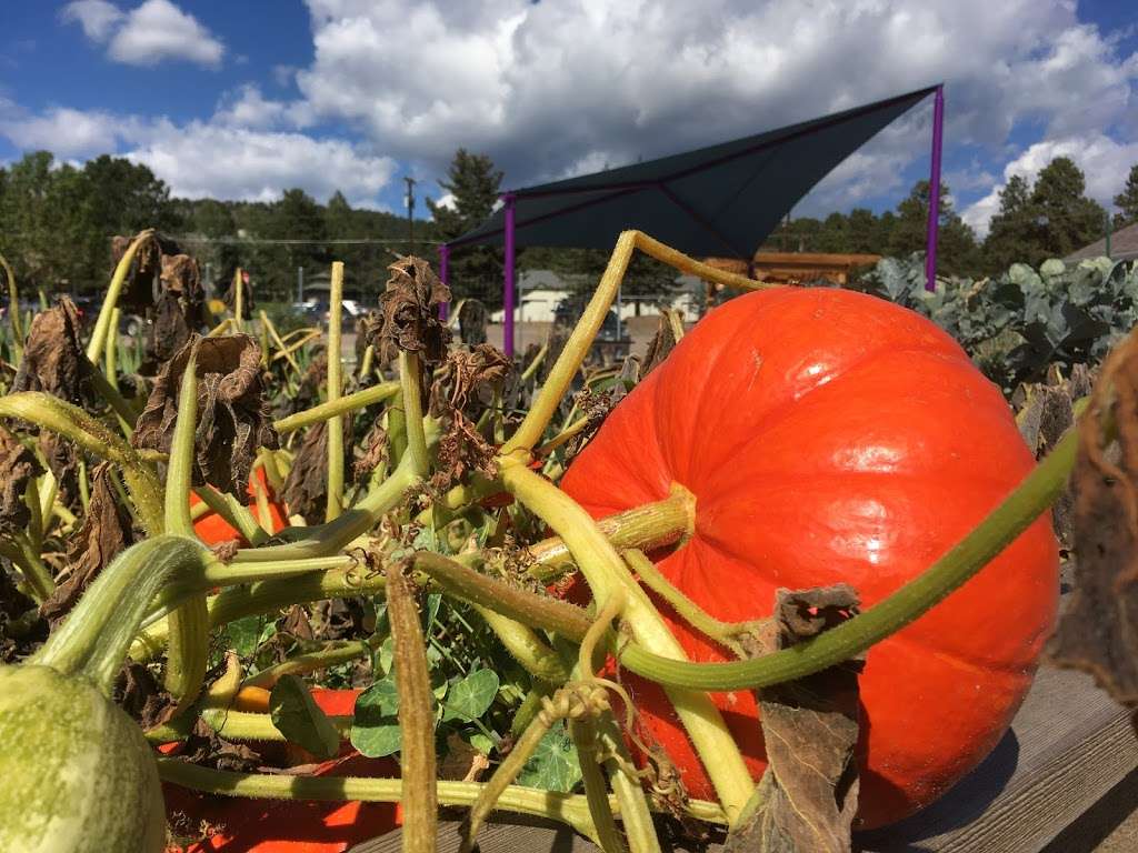 Buffalo Park Community Garden | Evergreen, CO 80439