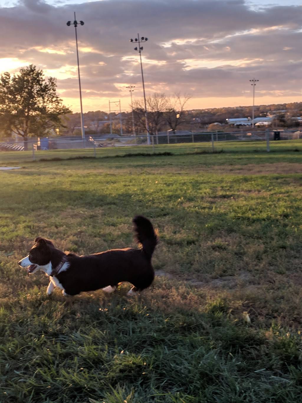 Heflinger Dog Park | Heflinger Park Rd, Omaha, NE 68164, USA | Phone: (402) 444-5920