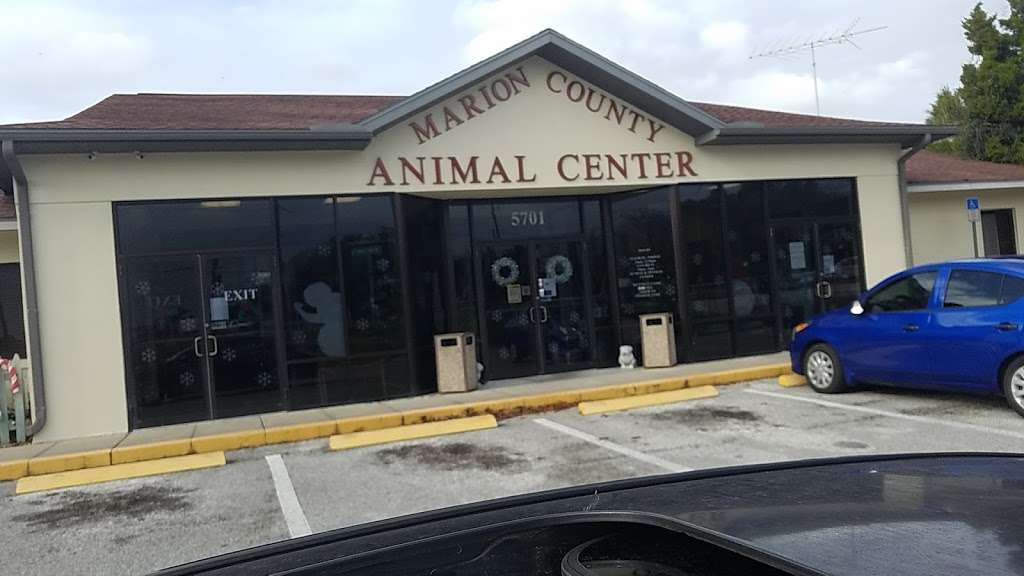 Marion County Animal Center | 5701 SE 66th St, Ocala, FL 34480, USA | Phone: (352) 671-8700