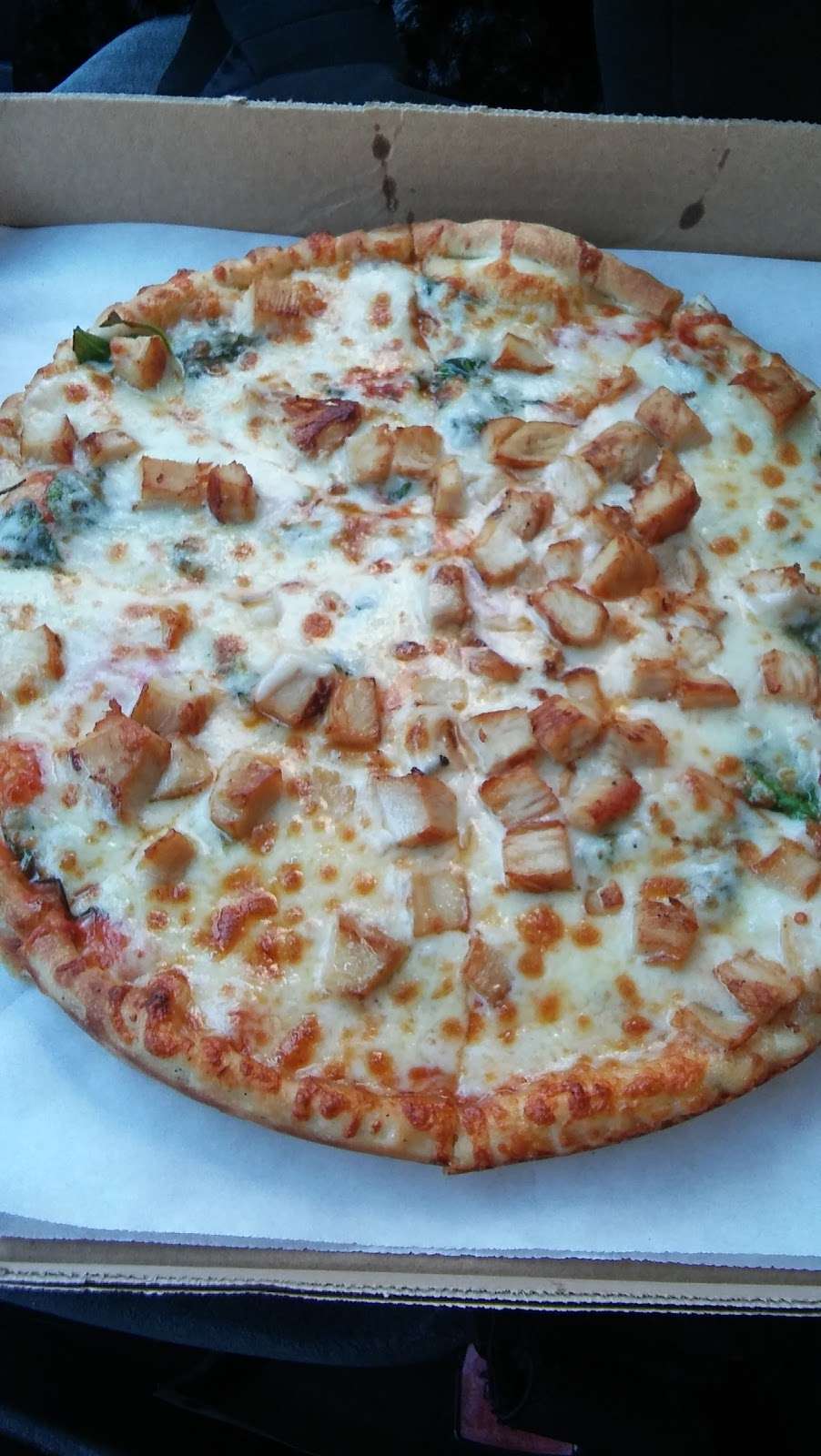 Seasons Pizza | 1524 Philadelphia Pike, Wilmington, DE 19809, USA | Phone: (302) 793-0505