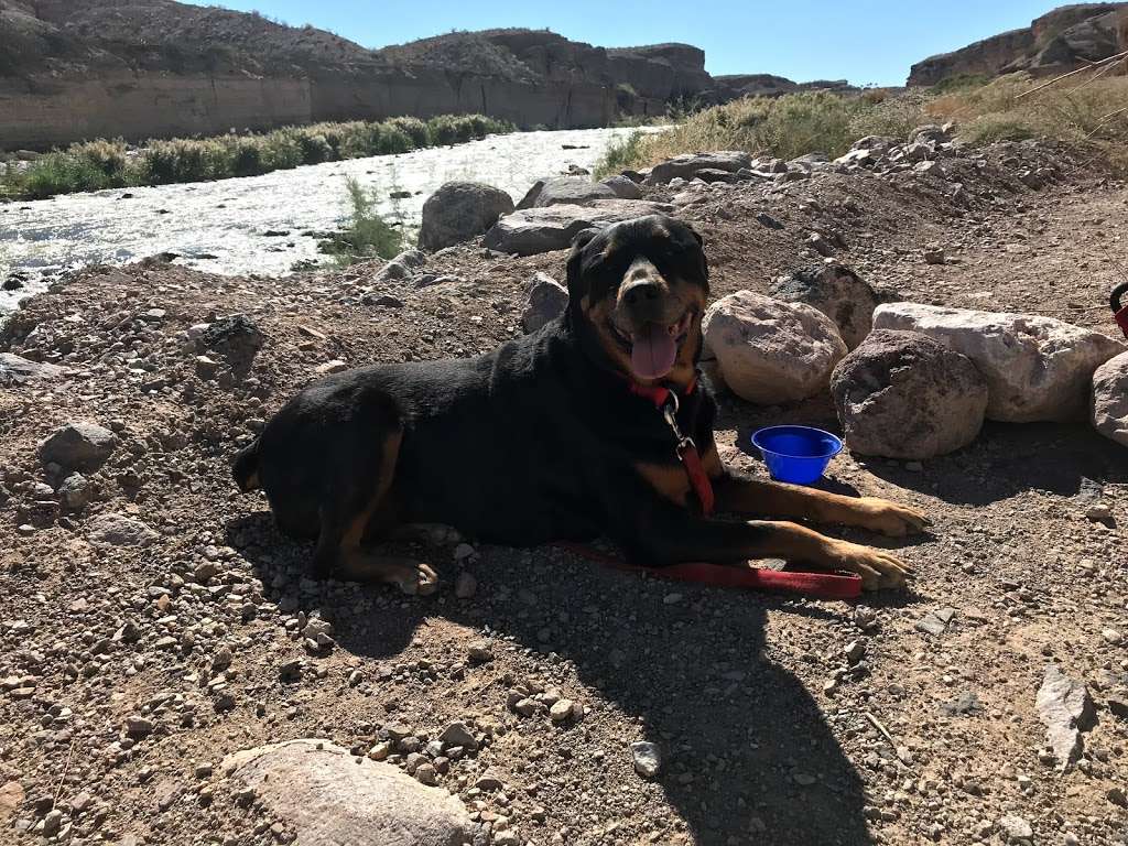 Wetlands Trail | Wetlands Trail, Boulder City, NV 89005, USA