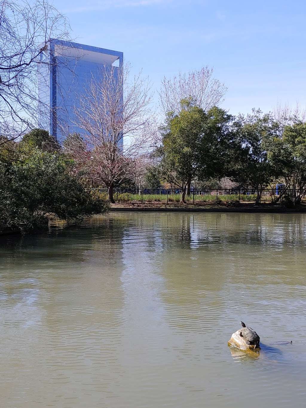 Bird Island at Hermann Park | 6200 Hermann Park Dr, Houston, TX 77030, USA | Phone: (713) 524-5876