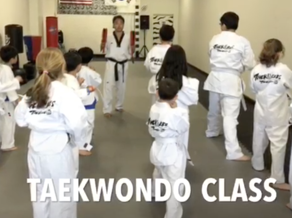 Tiger Kicks Tae Kwon Do school | 317 E Street Rd, Warminster, PA 18974, USA | Phone: (215) 444-0899