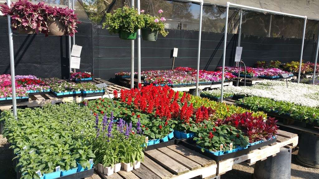 C&S Nursery | 3615 Hauser Blvd, Los Angeles, CA 90016 | Phone: (323) 296-6657