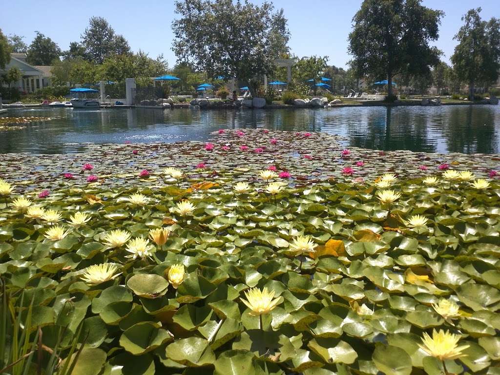 Lakeside Private Gated Community | 1 Lakeside Dr, Buena Park, CA 90621 | Phone: (888) 827-1110