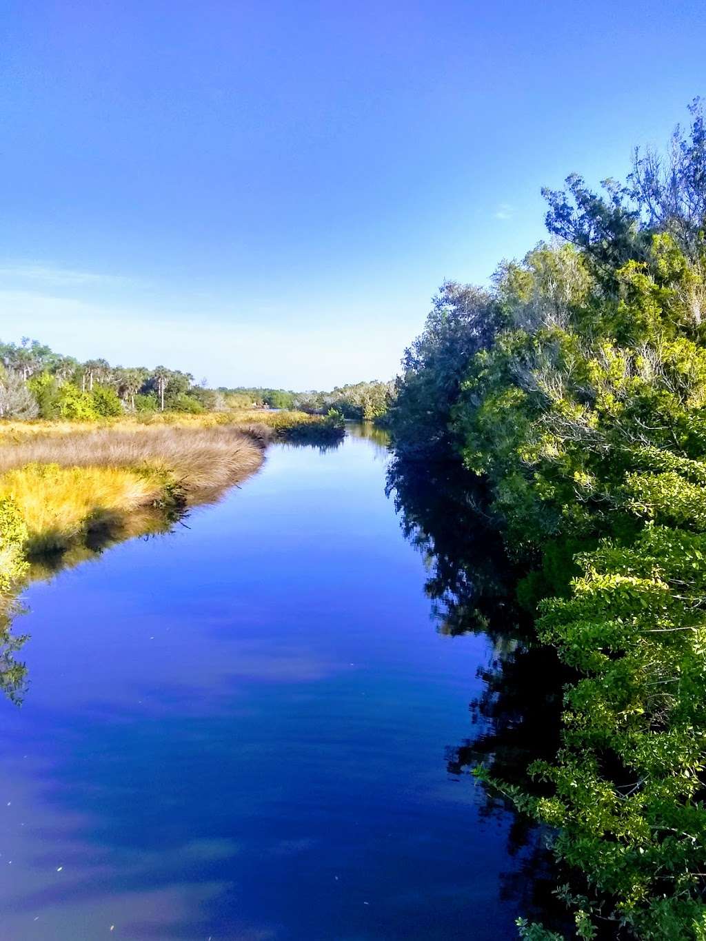 Otter Park South | Otter Blvd, New Smyrna Beach, FL 32168, USA | Phone: (386) 424-2175