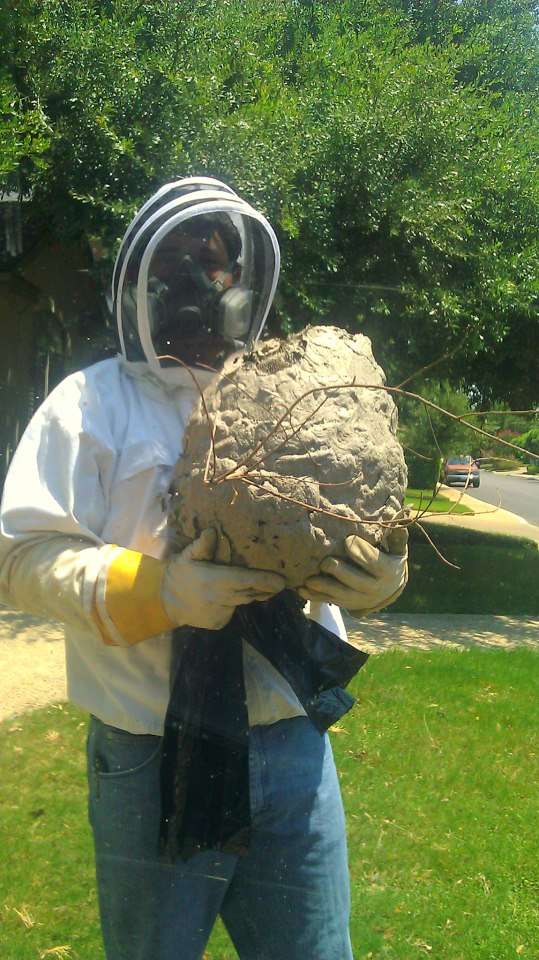 Biz-zz Bee Farms Pest Control | 11693 E Loop 1604 S, San Antonio, TX 78263, USA | Phone: (210) 655-6028