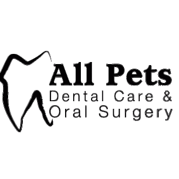 All Pets Dental Care & Oral Surgery | 3180 PA-940, Mt Pocono, PA 18344, USA | Phone: (570) 839-1922