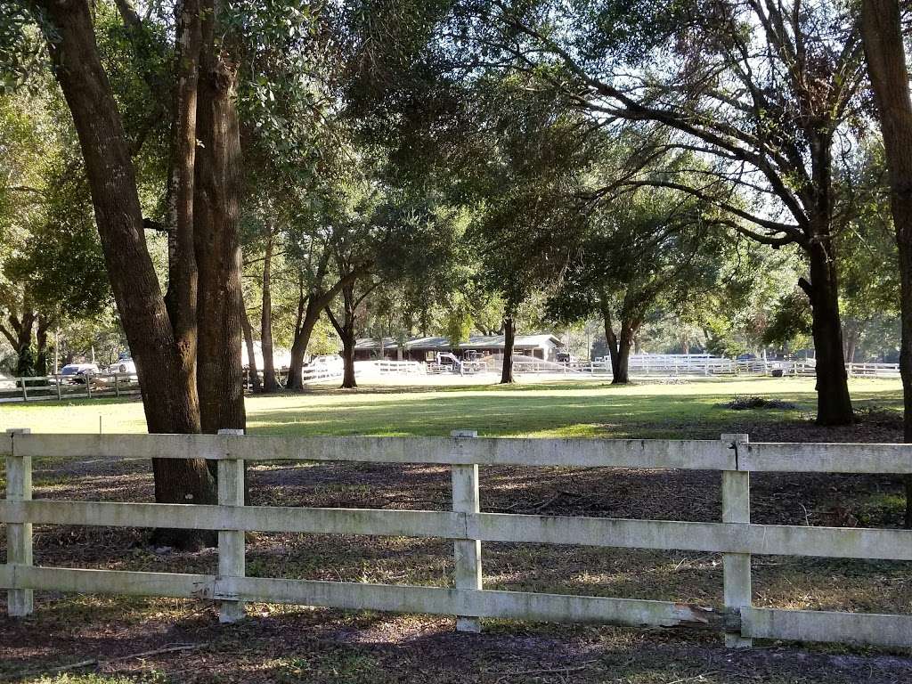 Temple Israel Cemetery | 9302 Morton Jones Rd, Gotha, FL 34734, USA