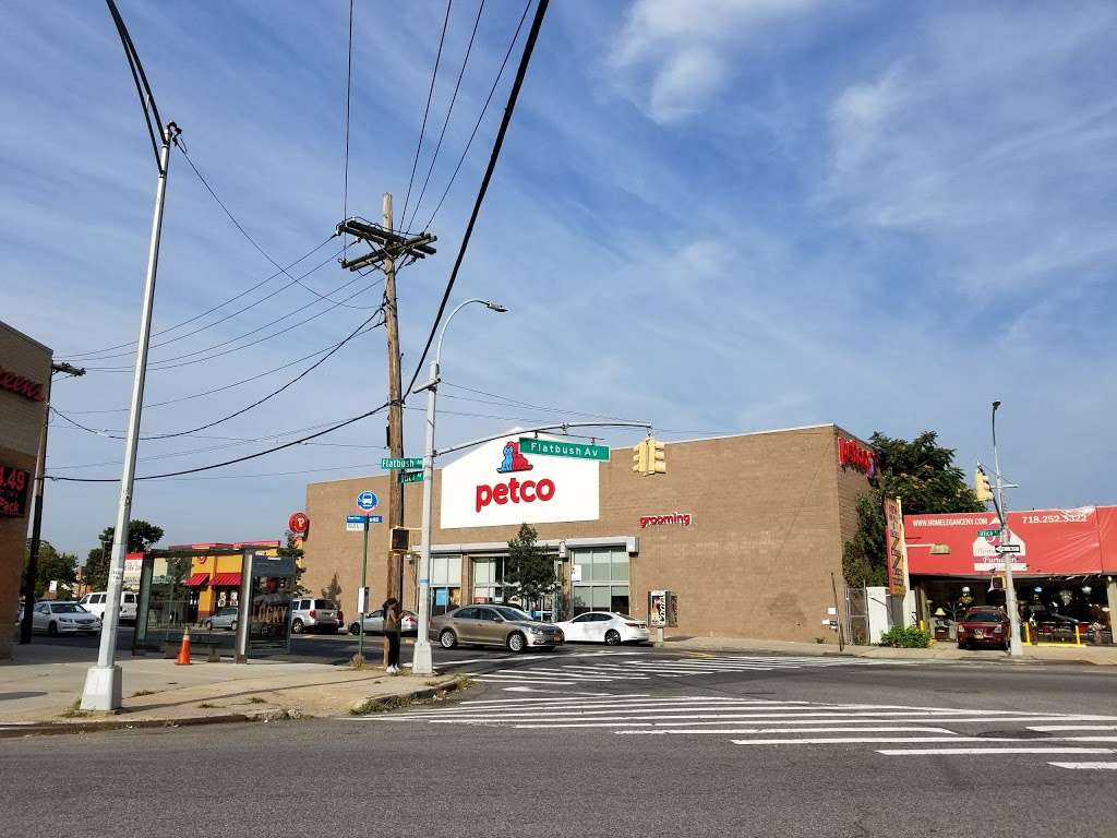 Petco | 2343 Utica Ave, Brooklyn, NY 11234, USA | Phone: (718) 338-3896