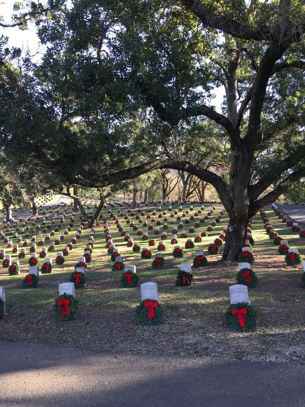 Veterans Home Cemetery | California Dr, Yountville, CA 94599, USA | Phone: (707) 944-4600