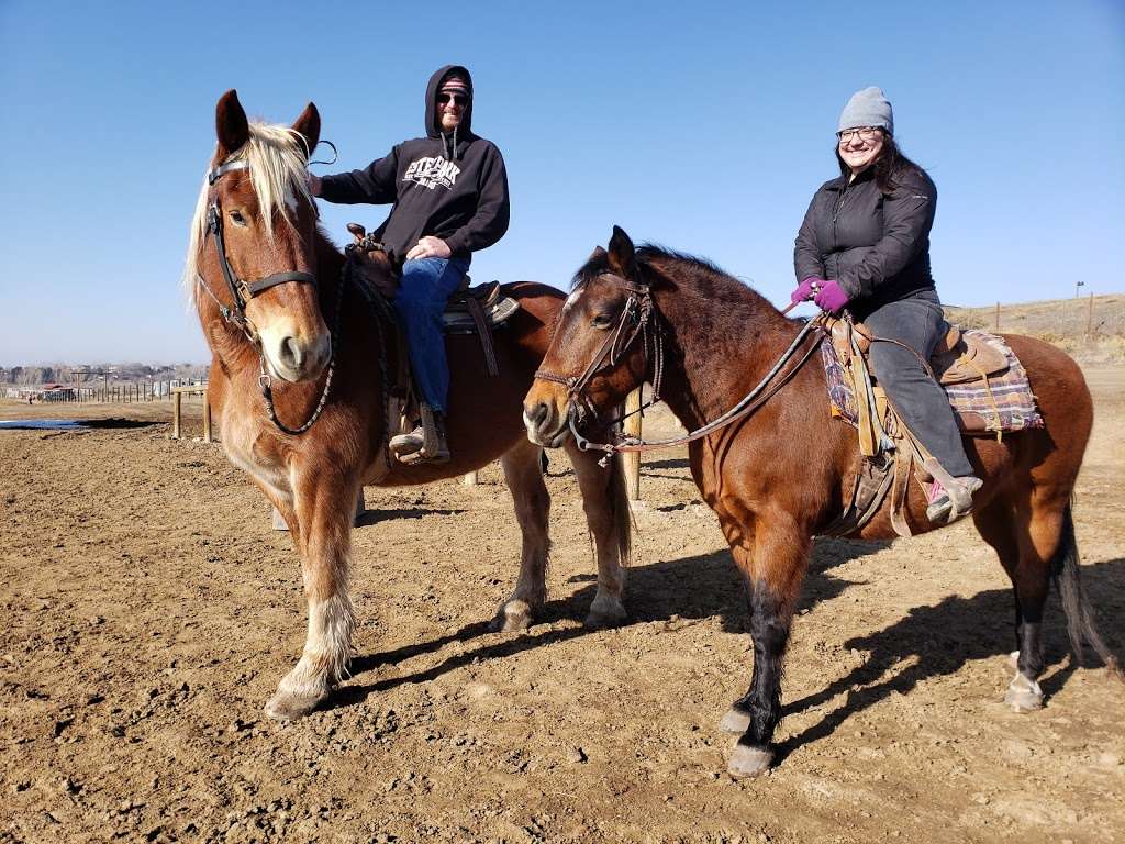 12 Mile Stables | 5547 S Parker Rd, Aurora, CO 80014, USA | Phone: (303) 699-6128