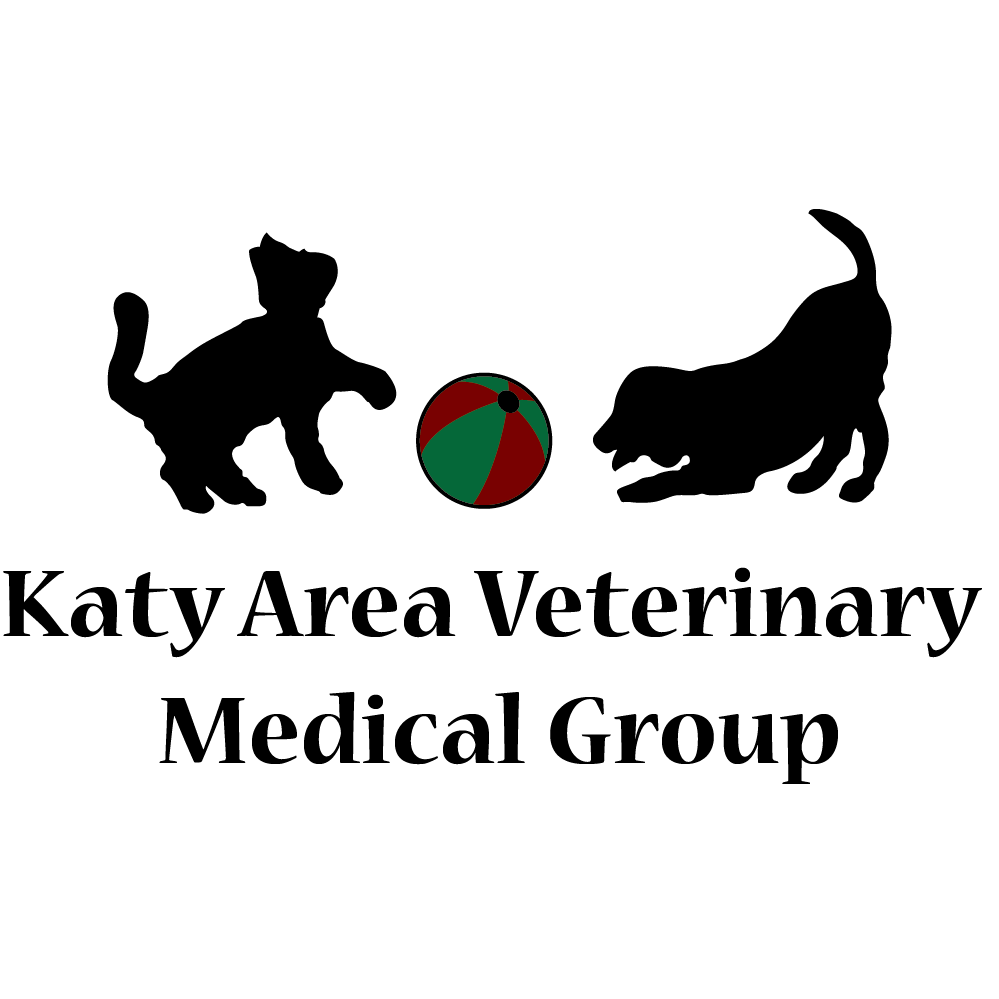 Katy Area Veterinary Medical Group | #A, 20920 Highland Knolls Dr, Katy, TX 77450, USA | Phone: (281) 398-1551