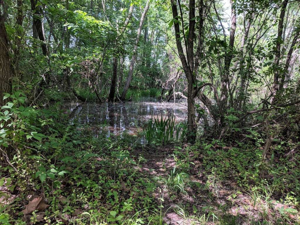 Julie J. Metz Neabsco Creek Wetlands Preserve | 15875 Neabsco Rd, Woodbridge, VA 22191 | Phone: (703) 499-9812