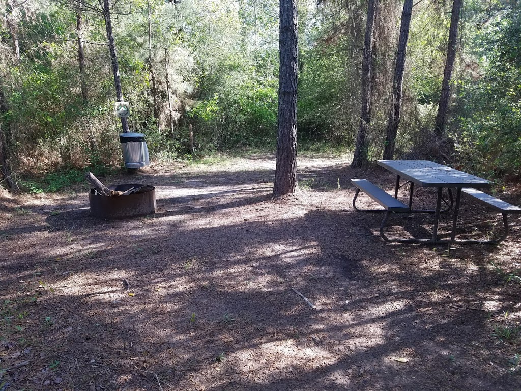 The Wilderness Campgrounds | 14350 Farm to Market Rd 1488, Magnolia, TX 77354, USA | Phone: (281) 804-8683