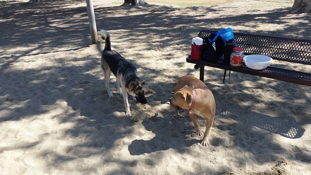 Home Run Dog Park | 20357 Studebaker Rd, Lakewood, CA 90713, USA | Phone: (562) 925-6912