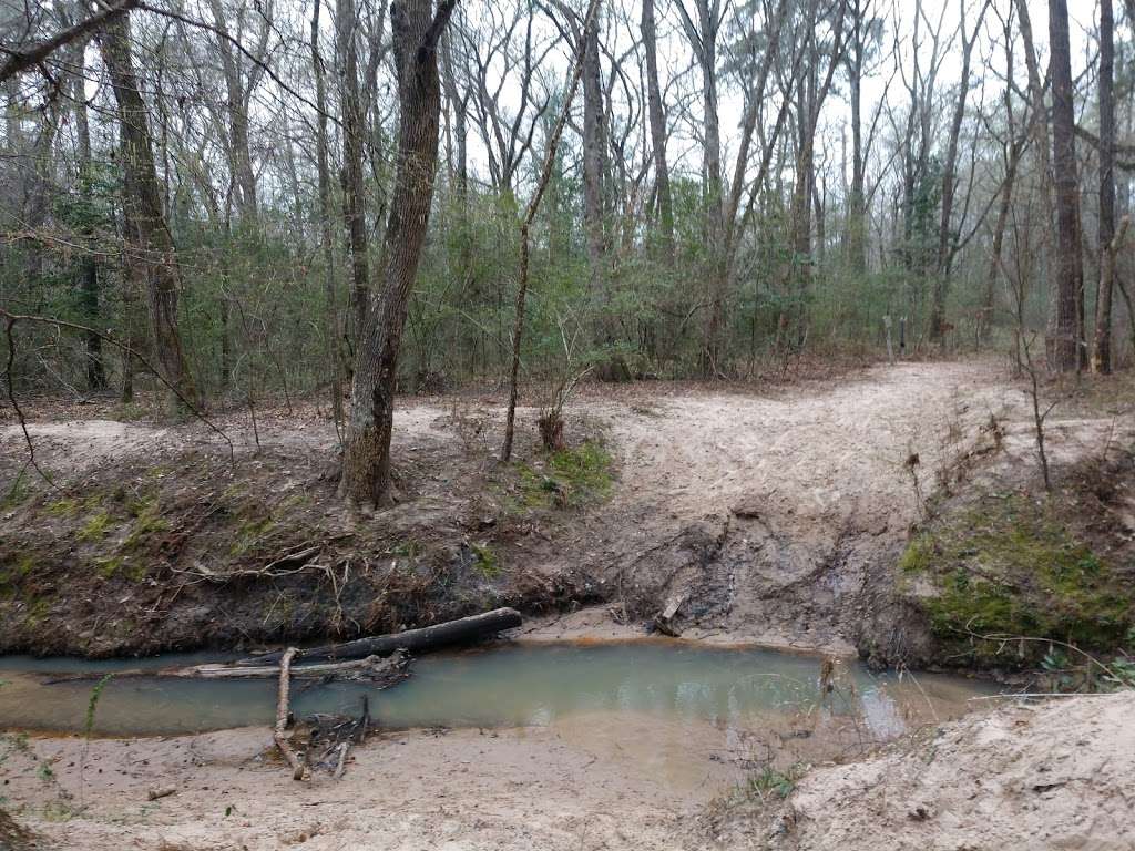 Pole Creek Campsite | Montgomery, TX 77356