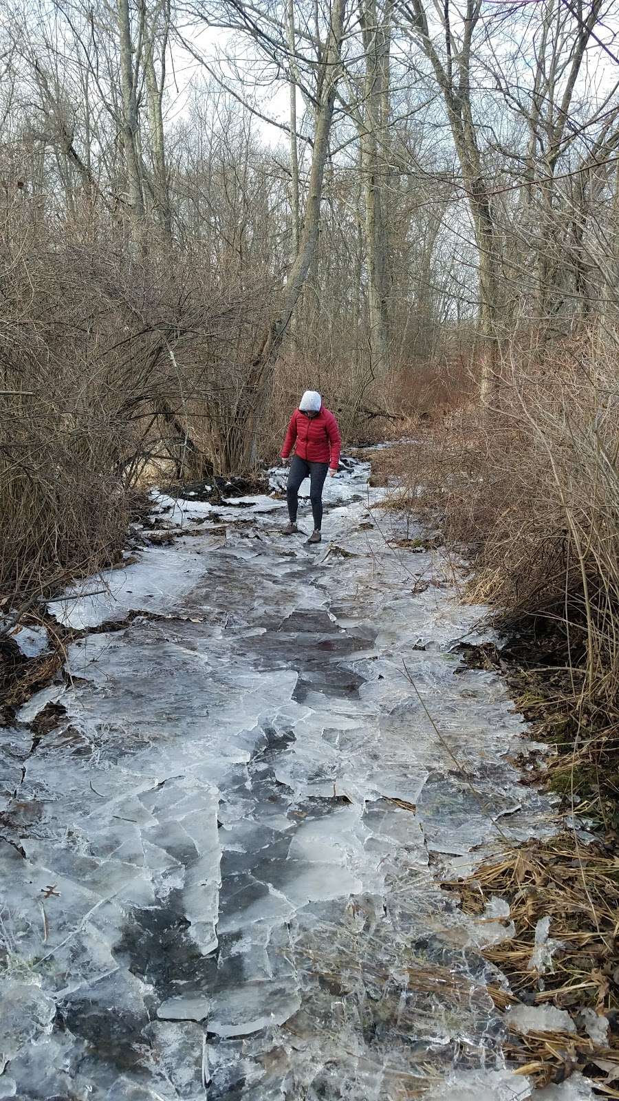 Great Swamp National Wildlife Refuge Wilderness | Green Village, NJ 07935, USA