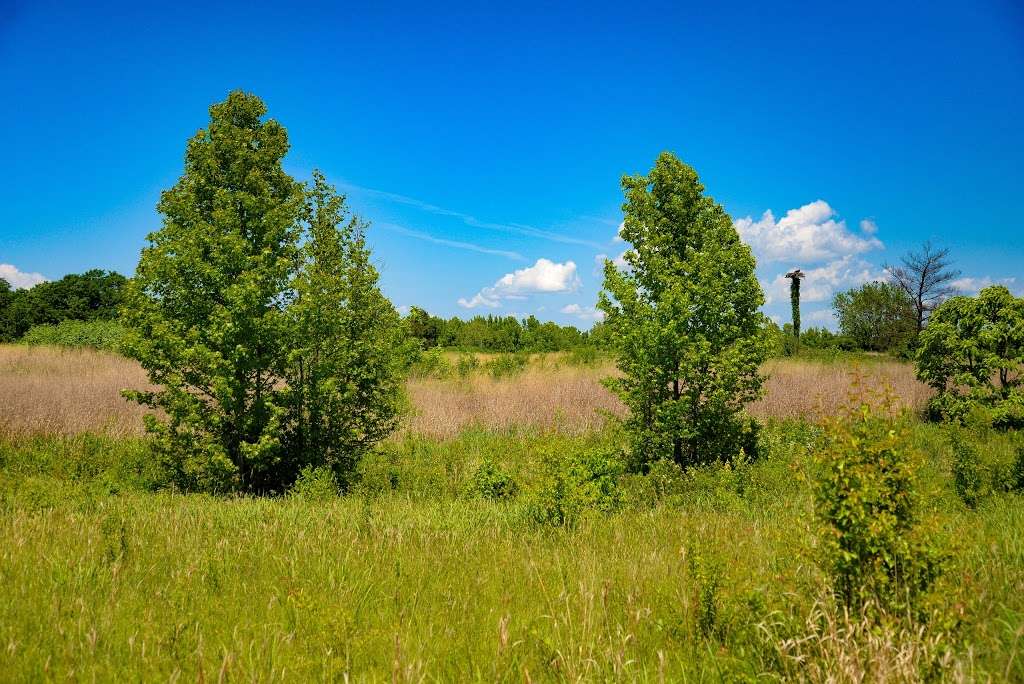 Occoquan Bay National Wildlife Refuge | 14050 Dawson Beach Rd, Woodbridge, VA 22191, USA | Phone: (703) 490-4979