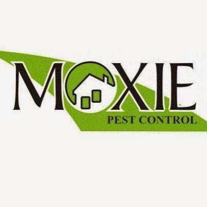 Moxie Pest Control | 1251 NW Pamela Blvd a, Grain Valley, MO 64029, USA | Phone: (816) 524-9090