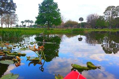 Kayaking Florida Waters | 1910 Lewis Rd, Leesburg, FL 34748, USA | Phone: (352) 504-2481