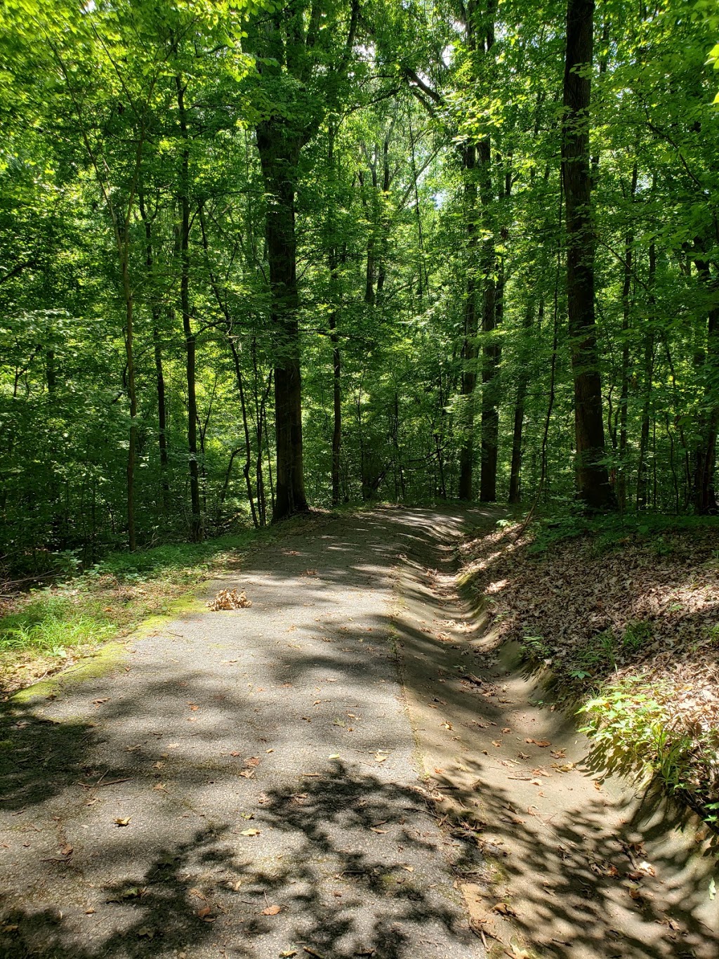 Meeman-Shelby Forest State Park | 910 Riddick Rd, Millington, TN 38053, USA | Phone: (901) 876-5215