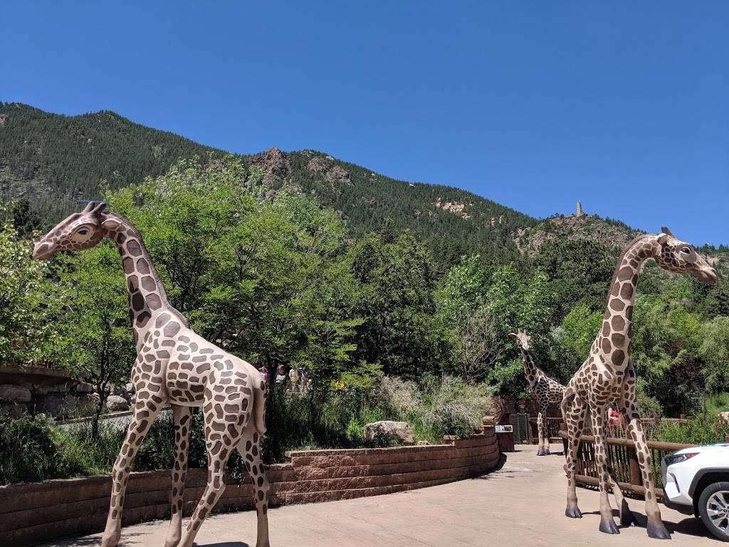 Cheyenne Mountain Zoo | 4250 Cheyenne Mountain Zoo Rd, Colorado Springs, CO 80906, USA | Phone: (719) 633-9925