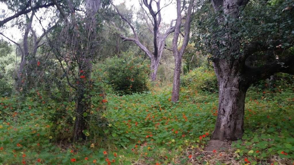 San Clemente Canyon Trailhead Parking Lot | San Diego, CA 92117, USA