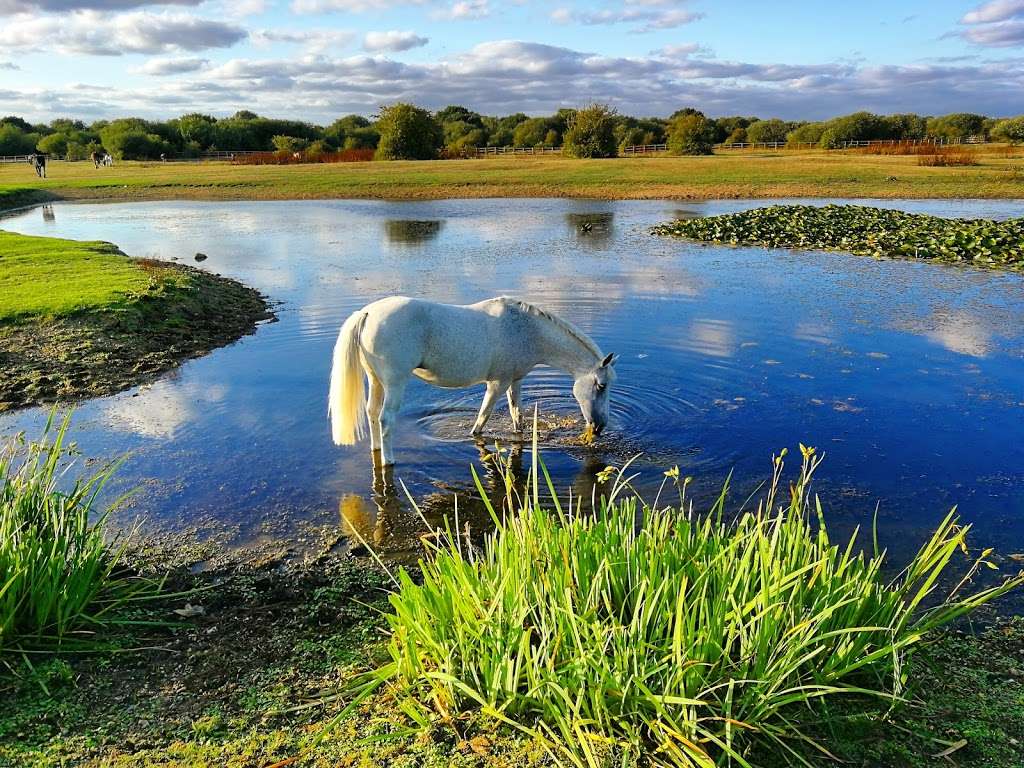 The Chase Nature Reserve | United Kingdom