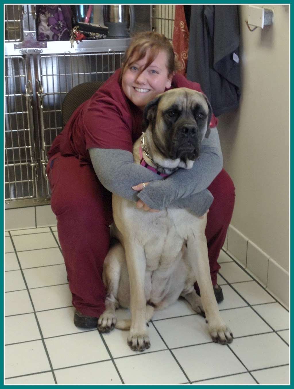 Ashburn Veterinary Hospital | 20893 Stubble Rd, Ashburn, VA 20147, USA | Phone: (703) 729-9200