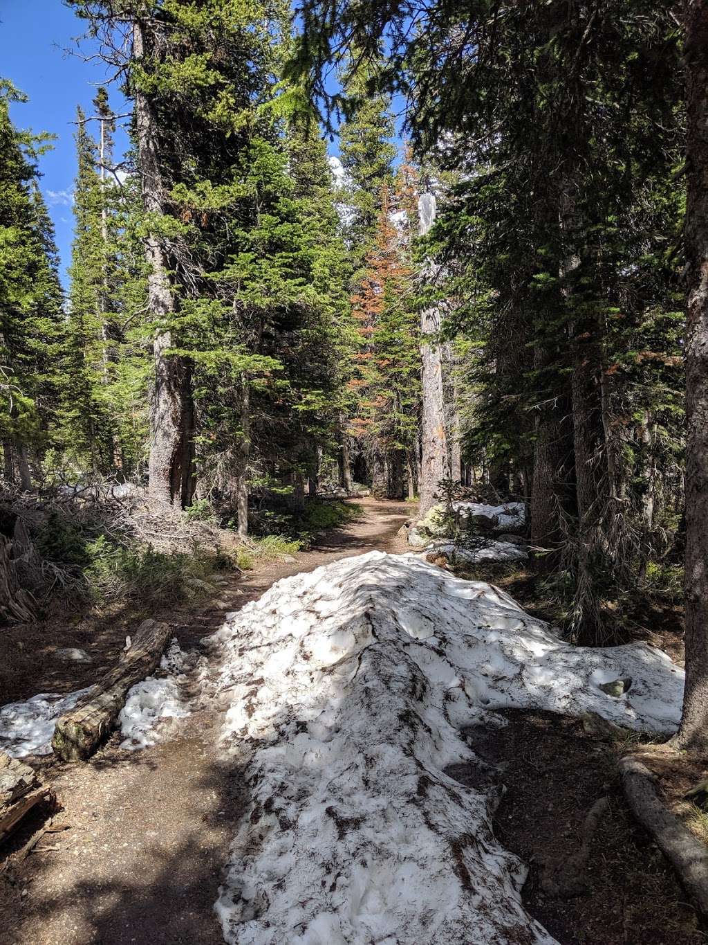 Long Lake Trail Head | Long Lake Rd, Ward, CO 80481