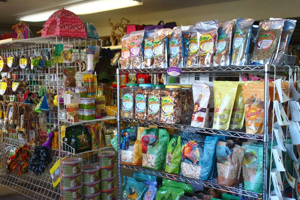 Feathered Follies | 1820 Arnold Industrial Way, Concord, CA 94520, USA | Phone: (925) 681-2473