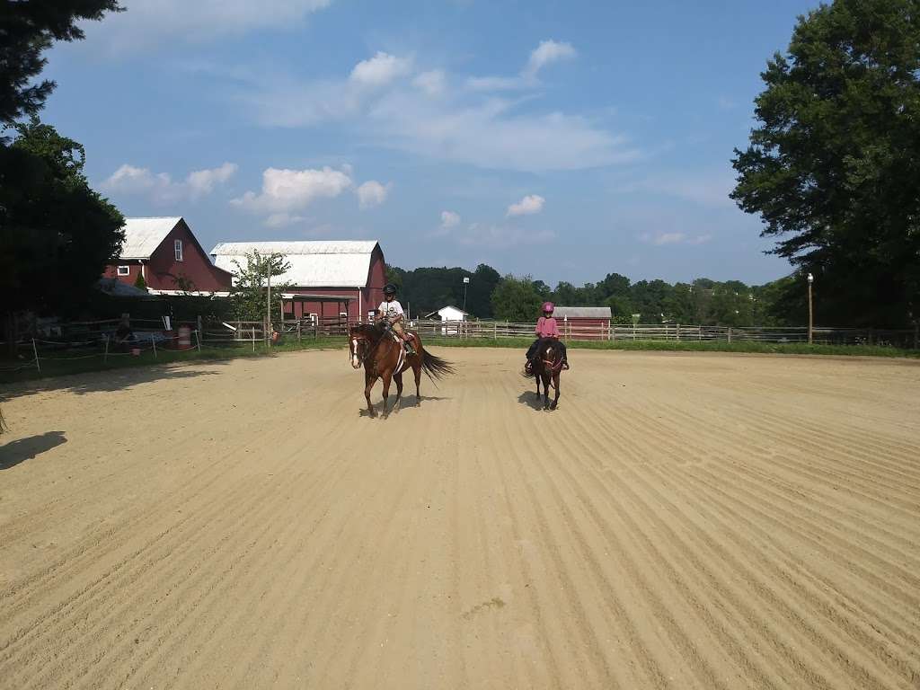 Opening Number Riding Academy | 40 Belle Rouge Farm Ln, North East, MD 21901, USA | Phone: (302) 388-6443