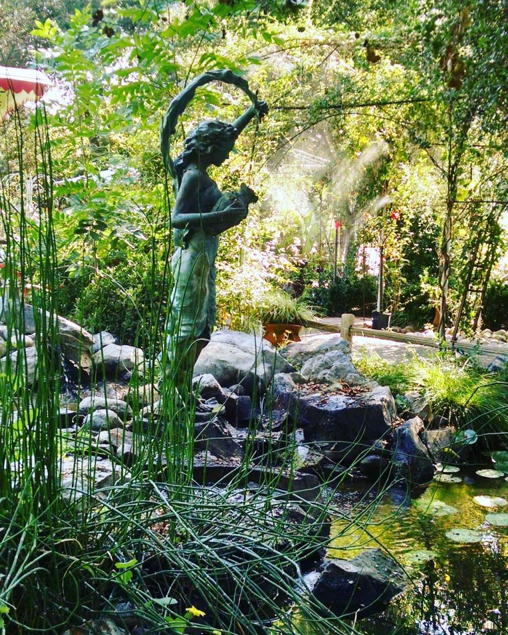 Myrtle Creek Botanical Gardens & Nursery | 2940 Reche Rd, Fallbrook, CA 92028, USA | Phone: (760) 728-5340