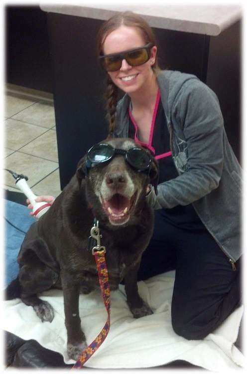 West Ridge Animal Hospital | 8235 W 20th St, Greeley, CO 80634, USA | Phone: (970) 330-7283