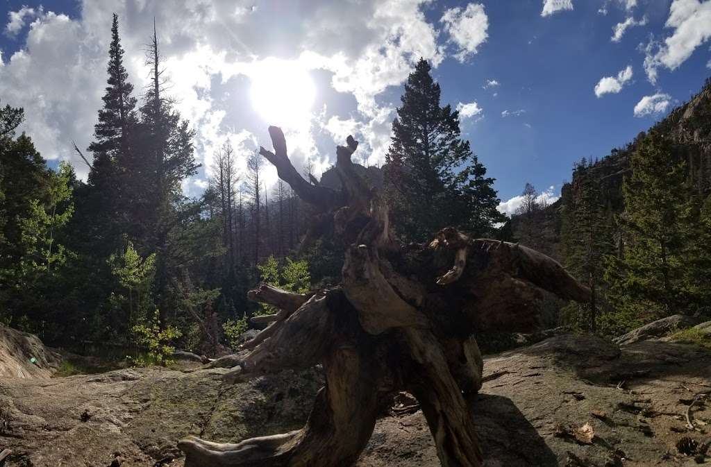 Old Forest Inn | Estes Park, CO 80517, USA