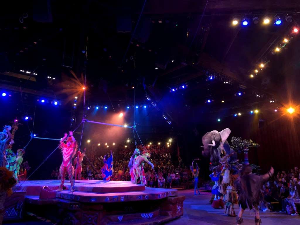 Festival of the Lion King | Disneys Animal Kingdom Theme Park, Kissimmee, FL 34747, USA