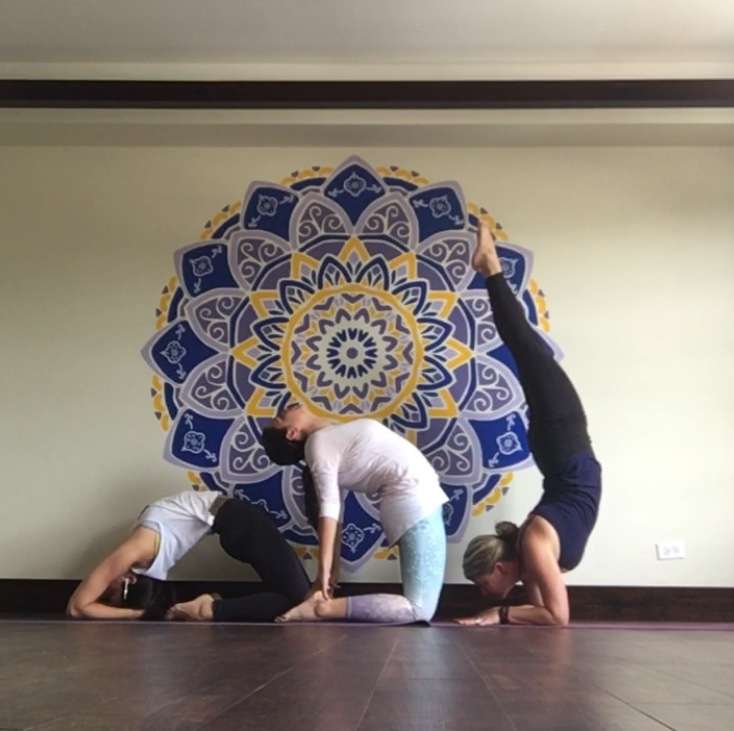 Blue Sun Yoga & Meditation | 61 E Scranton Ave, Lake Bluff, IL 60044 | Phone: (847) 574-0505