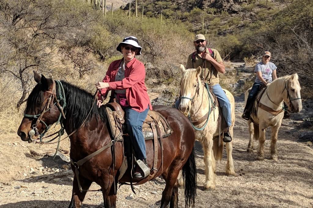 Saguaro Stables | 7151 S Camino Loma Alta, Tucson, AZ 85749, USA | Phone: (520) 298-8980