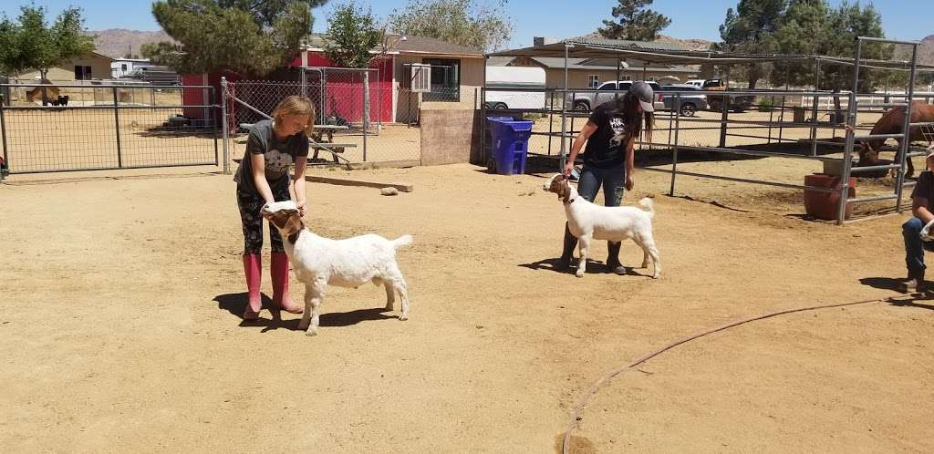 Ranchorias and Zuni | CA-18, Apple Valley, CA 92307, USA