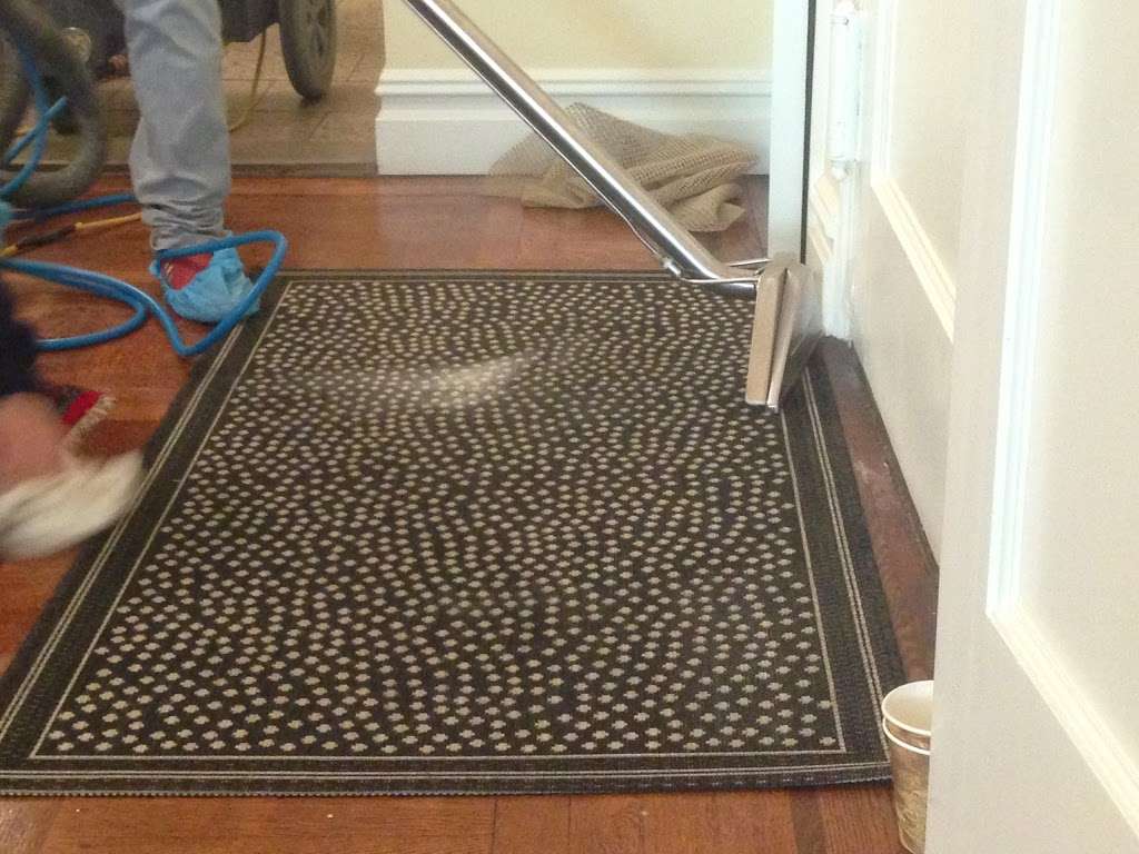 Carpet Cleaner Staten Island | 15 Mulberry Cir, Staten Island, NY 10314, USA | Phone: (718) 569-0252