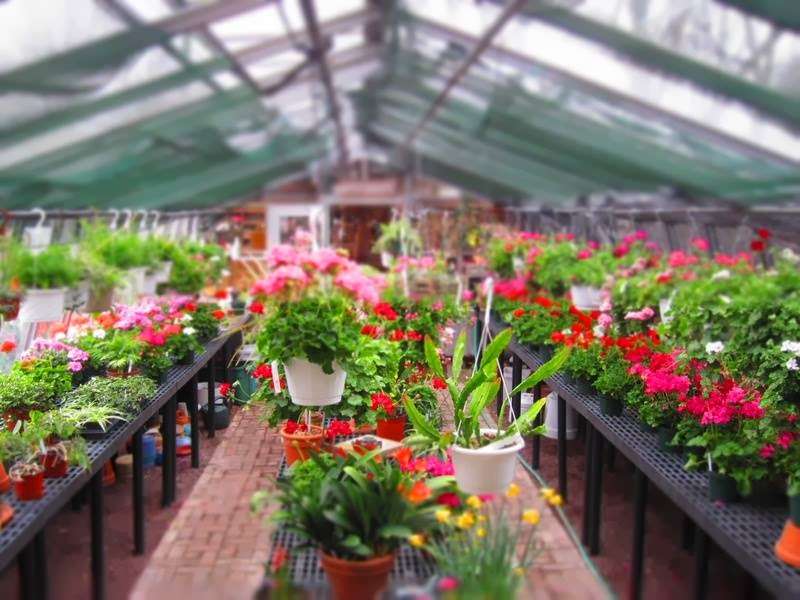 Ross and Ross Nursery | 7729, 5801 Paradise Valley Rd, Cresco, PA 18326, USA | Phone: (570) 595-9760