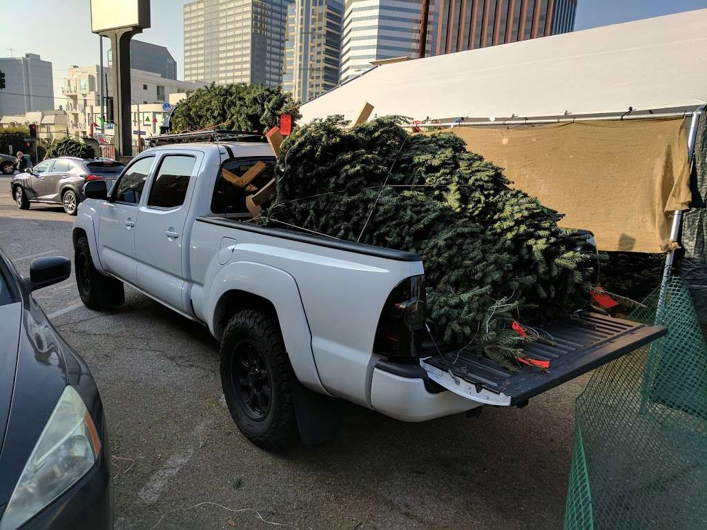 Mr. Jingles Christmas Trees | 1300 Westwood Blvd, Los Angeles, CA 90024, USA | Phone: (844) 454-6453