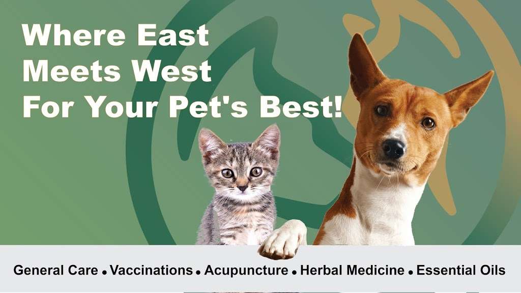Piney Creek Square Integrative Veterinary Medicine | 15420 E Orchard Rd, Centennial, CO 80016, USA | Phone: (303) 693-3133