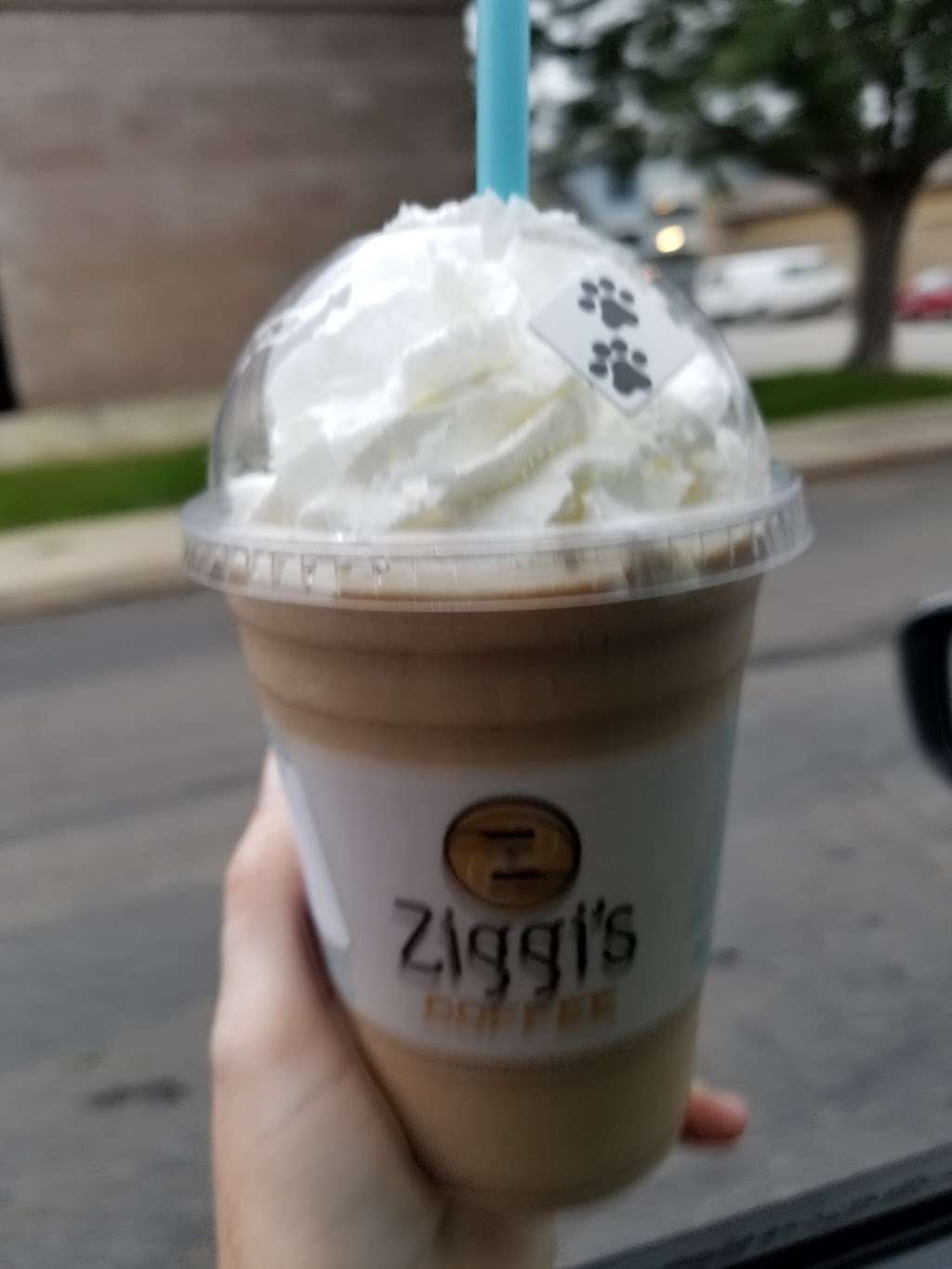 Ziggis Coffee | 1729 Hover St, Longmont, CO 80501, USA | Phone: (303) 682-5120