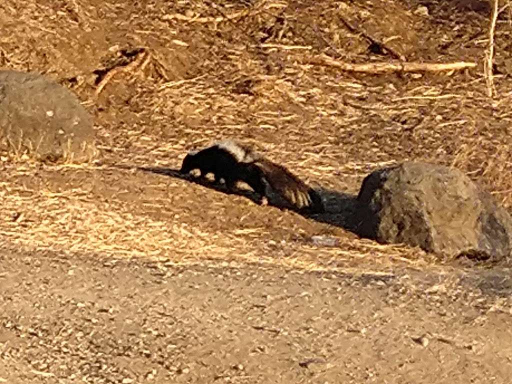 Bedwell Bayfront Park | 1600 Marsh Rd, Menlo Park, CA 94025, USA | Phone: (650) 330-2222