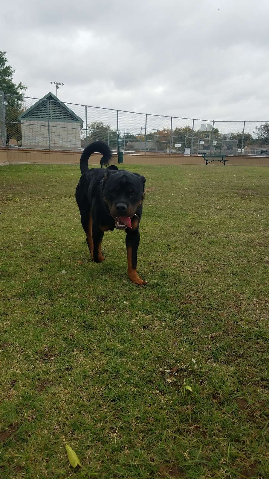 Scentral Dog Park | 4601 Centennial Dr, Rowlett, TX 75088, USA