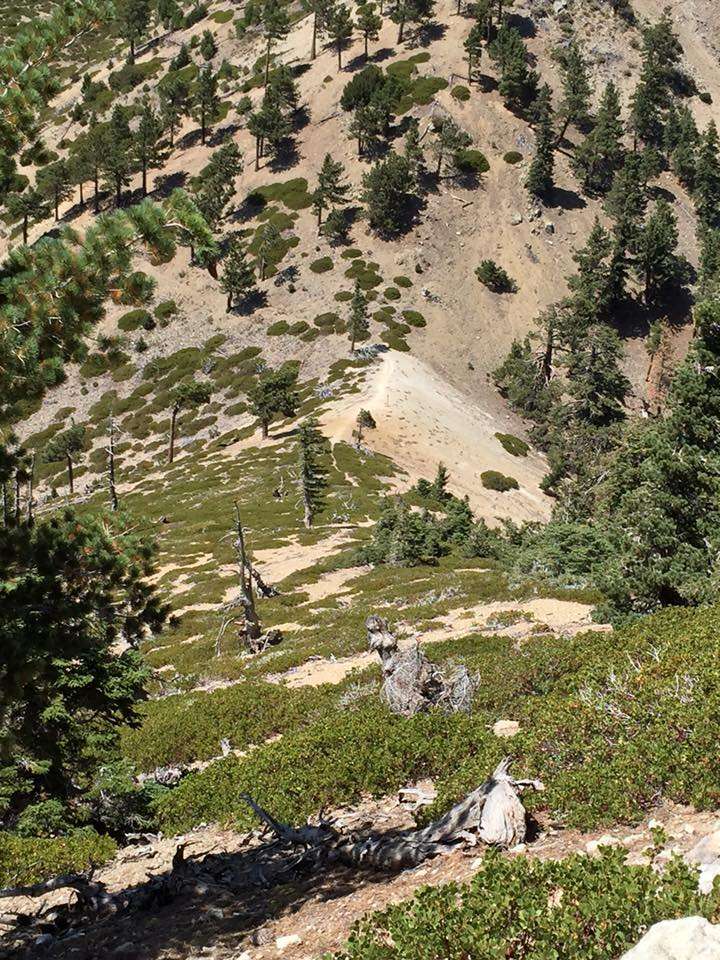 Japanese Saddle | Ice House Canyon Trail, Mt Baldy, CA 91759