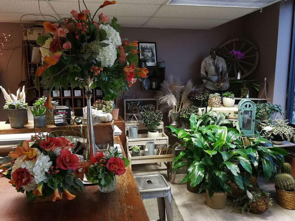 Galleria Florist | 7187 Lee Hwy, Falls Church, VA 22046, USA | Phone: (703) 536-0770